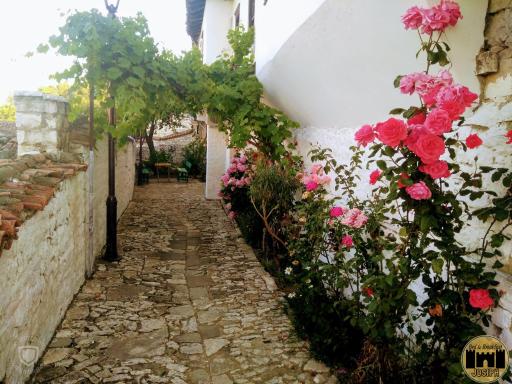 Bed & Breakfast JOSIPH - Housity