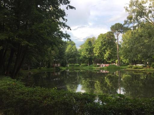 Wyjątkowy apartament w sercu Piły - Hizvo