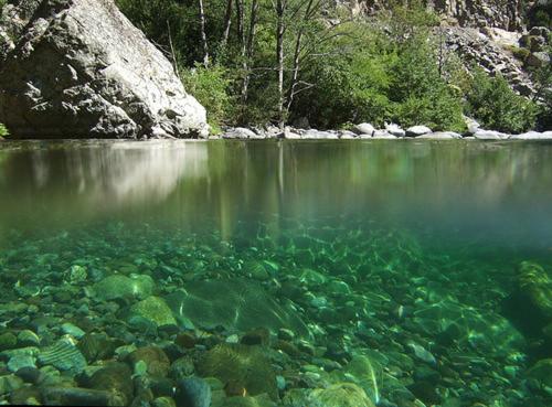 autour du hamac - Housity