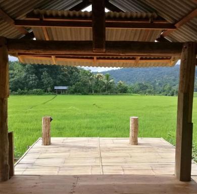 Chinopuu hut homestay muangkong - Housity