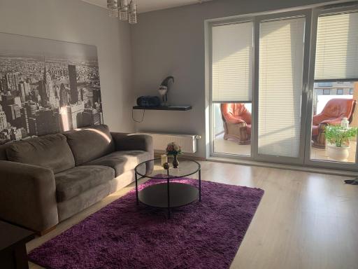 Beverly Hills Apartments City Center - Housity