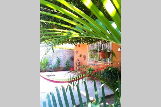 Paraíso Escondido Departamento-Puerto Escondido - Housity