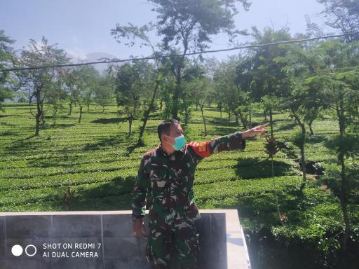 RR Homestay seroja - Housity