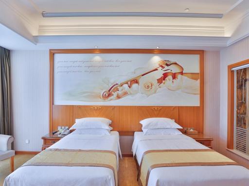 Vienna Hotel Tianjing Jinnan Lingshijun - Housity