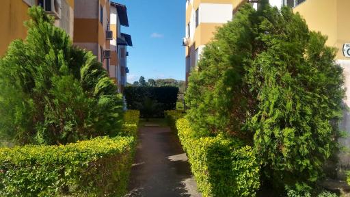 Residencial Iracema Rua Atila Brandão, bairro Serraria - Housity