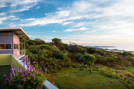 Purple Haze Eco Lodge - Housity