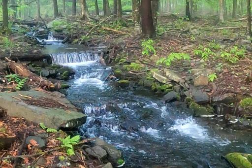 New! Streamside house w/waterfall, lake/beach/pool - Housity