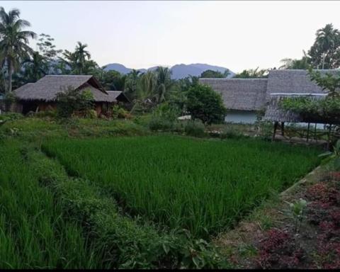 Magepie home stay - Housity