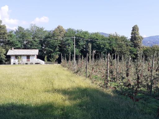 Agriturismo Cascina Bonetto - Housity