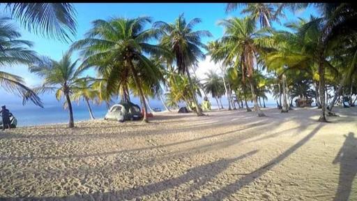Arridub Island-Iguana - Housity