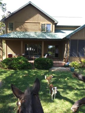 Happy Ass Farm - Housity