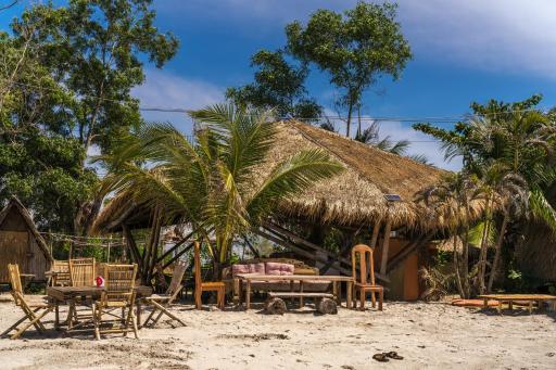 Young Wild and Free - Housity