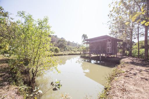 บ้านเพื่อน อยู่ในป่า - Friend's house Homestay Mae Tang - Housity