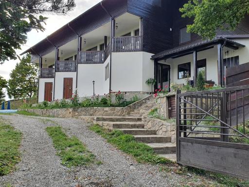 Pensiunea Sara pe deal - Housity
