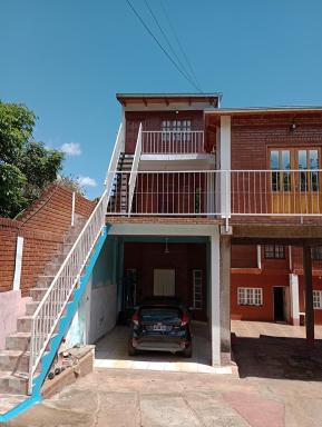 El oso viejo - Housity