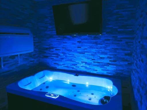 Studette avec SPA & Jacuzzi - Housity