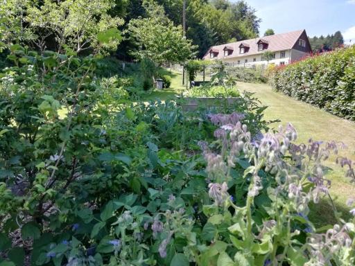 LA CLIMONTAINE - Housity
