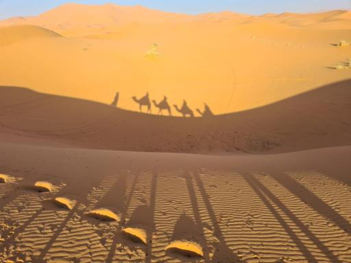 Sahara Ousis Camp - Housity