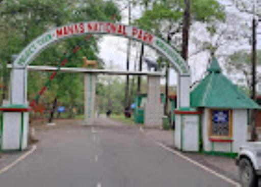 Myna Eco Camp ,Raghabbil - Housity