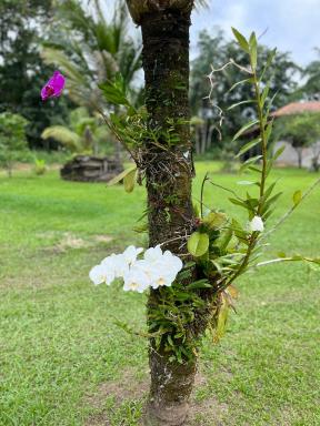 Cantinho da Alice - Housity