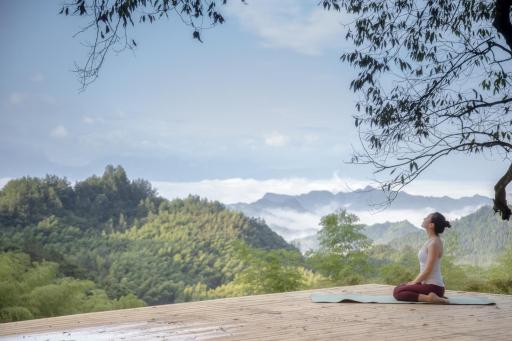 The Hidden Woods Boutique Hotel Zhangjiajie - Housity