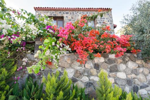 Karaburun Bahçe - Housity