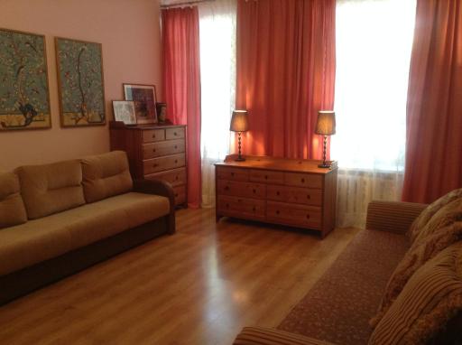 Apartment on Radishcheva 26 - Housity