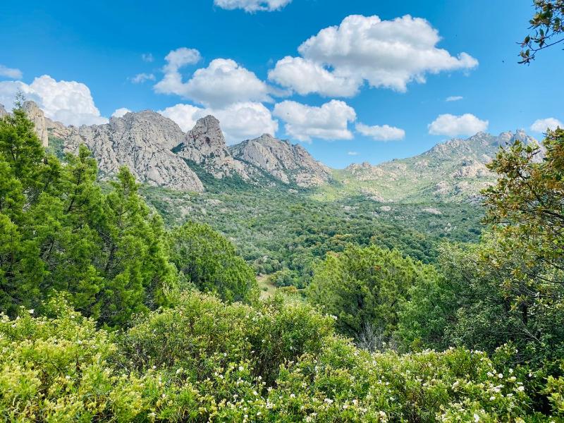 Li Cimi a San Pantaleo - Incantevole appartamento vista