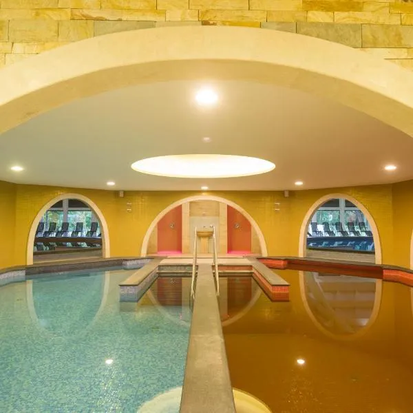 데브레첸에 위치한 호텔 Aquaticum Debrecen Termal & Wellness Hotel