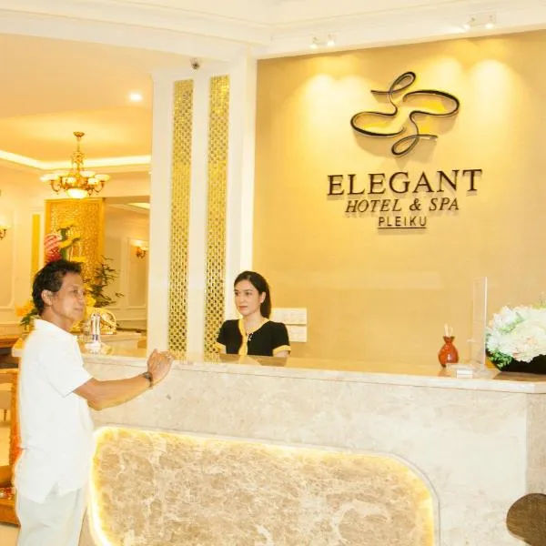 플레이쿠에 위치한 호텔 Elegant Hotel