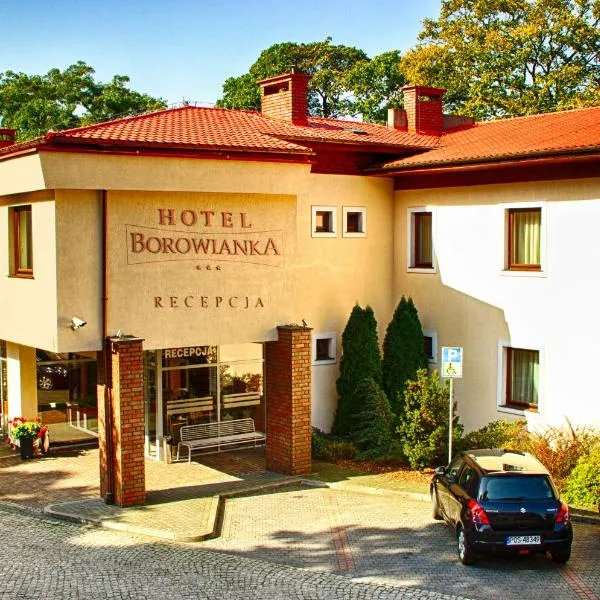 오스트루프 비엘코폴스키에 위치한 호텔 Hotel i Restauracja Borowianka