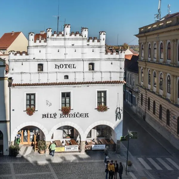 트레본에 위치한 호텔 Hotel Bílý Koníček