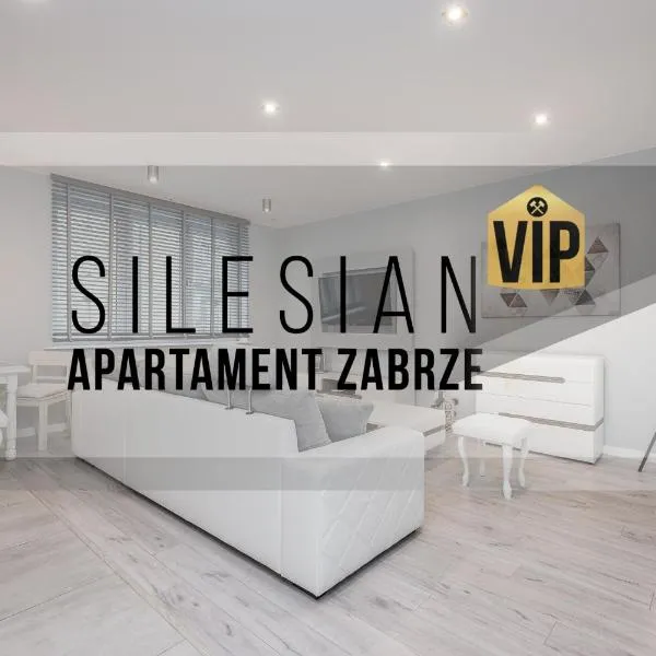 자브르제에 위치한 호텔 Apartament Silesian Vip