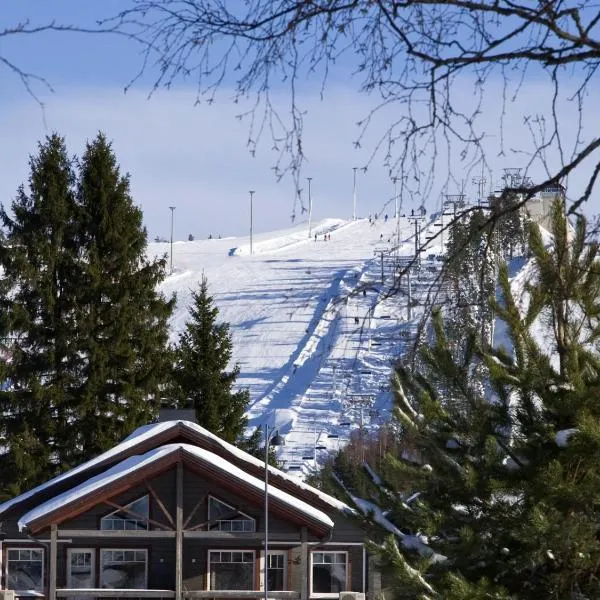 얨새에 위치한 호텔 Himoshovi Cottages