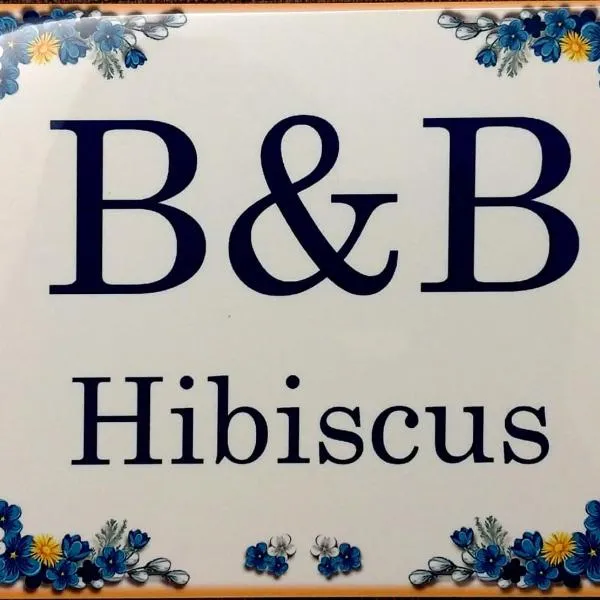 포르토 산텔피디오에 위치한 호텔 B&B Hibiscus