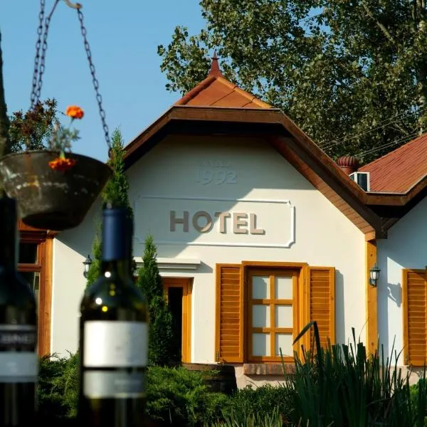 나지카니자에 위치한 호텔 Hotel Vineyard Inn - Szőlőskert