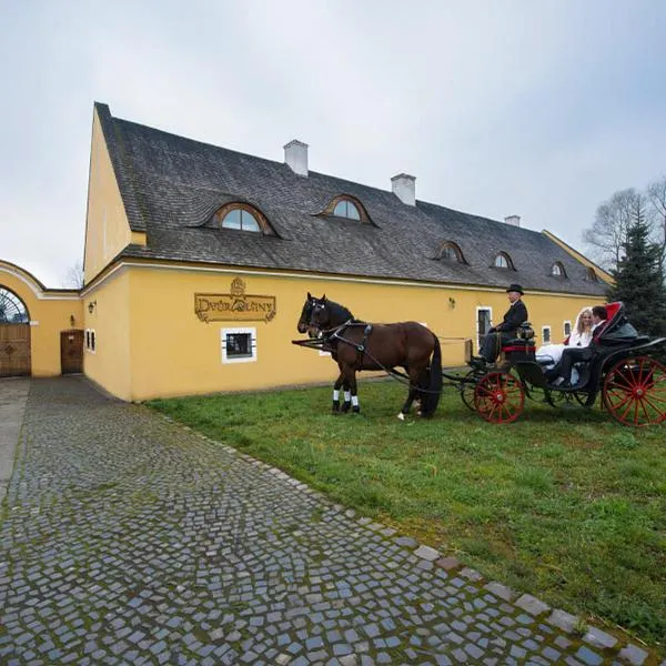 카르비나에 위치한 호텔 Dvůr Olšiny -Hotel and Horse-riding