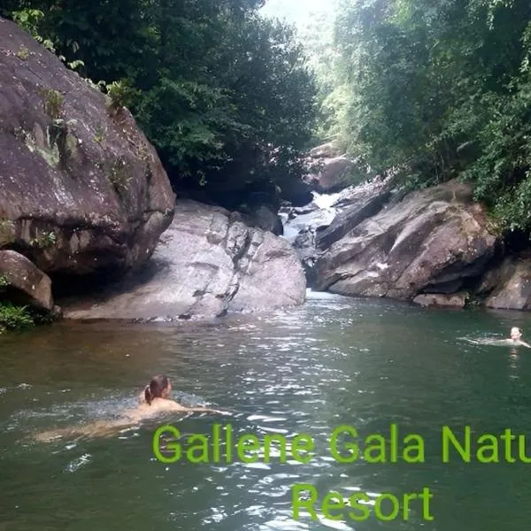 키둘가라에 위치한 호텔 Gallene Gala Nature Resort