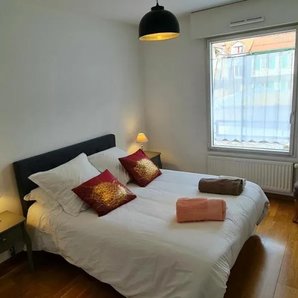 살랑슈에 위치한 호텔 Appartement CITY CENTER-SALLANCHES