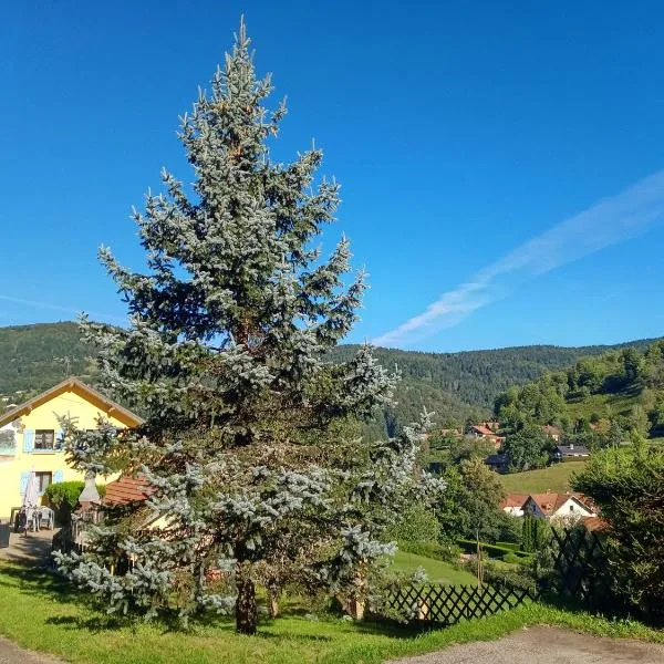 Les Sapins, Hotel in Ventron