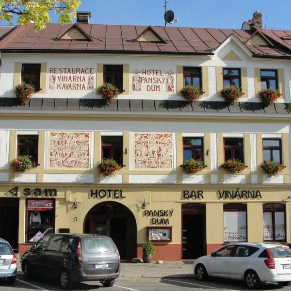 노베 메스토 나 모라베에 위치한 호텔 Hotel Panský dům