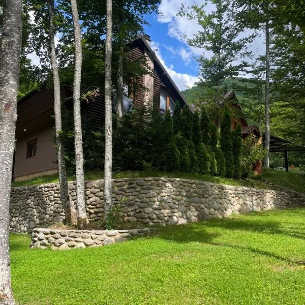 브레조비체에 위치한 호텔 Villa in Brezovica