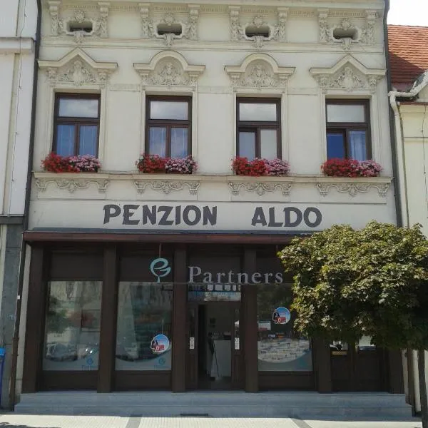 카르비나에 위치한 호텔 Penzion Aldo