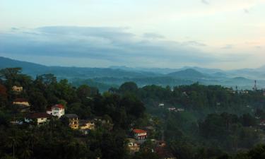 Kandy District 호텔